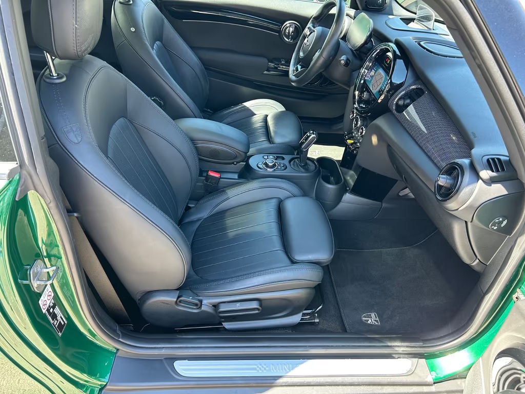 Mini Mini Electric