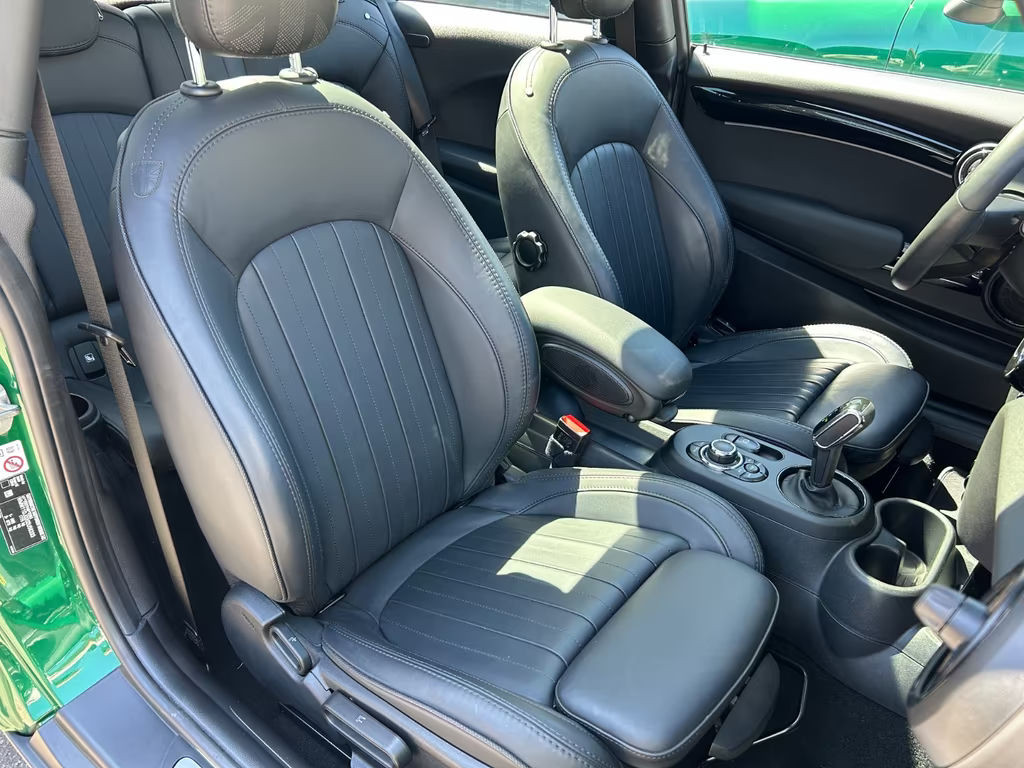 Mini Mini Electric