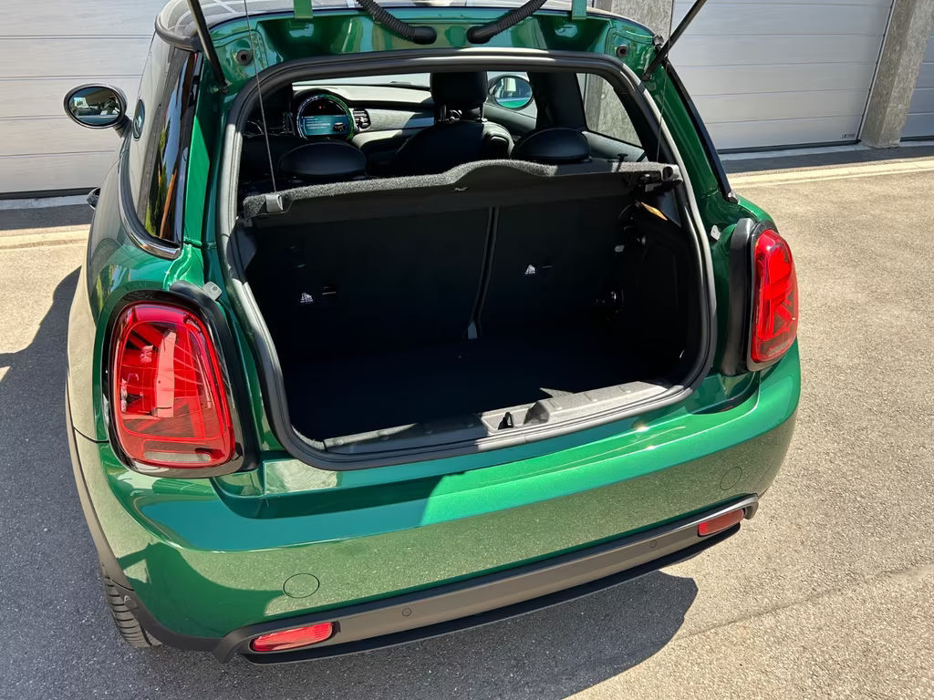 Mini Mini Electric