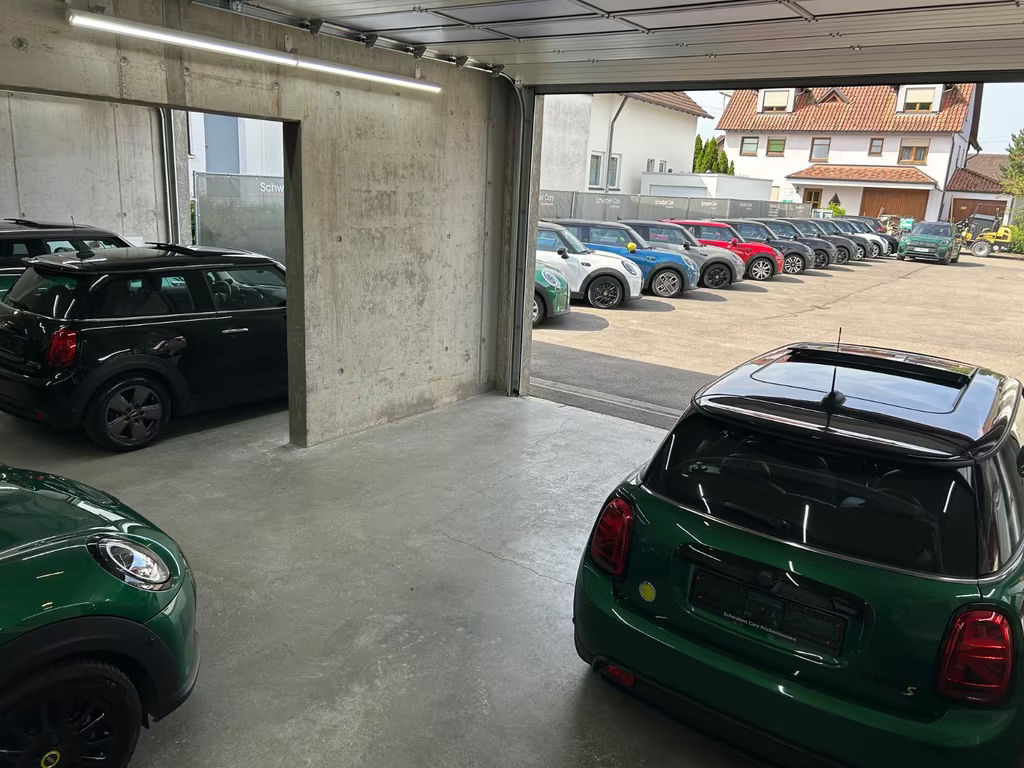 Mini Mini Electric
