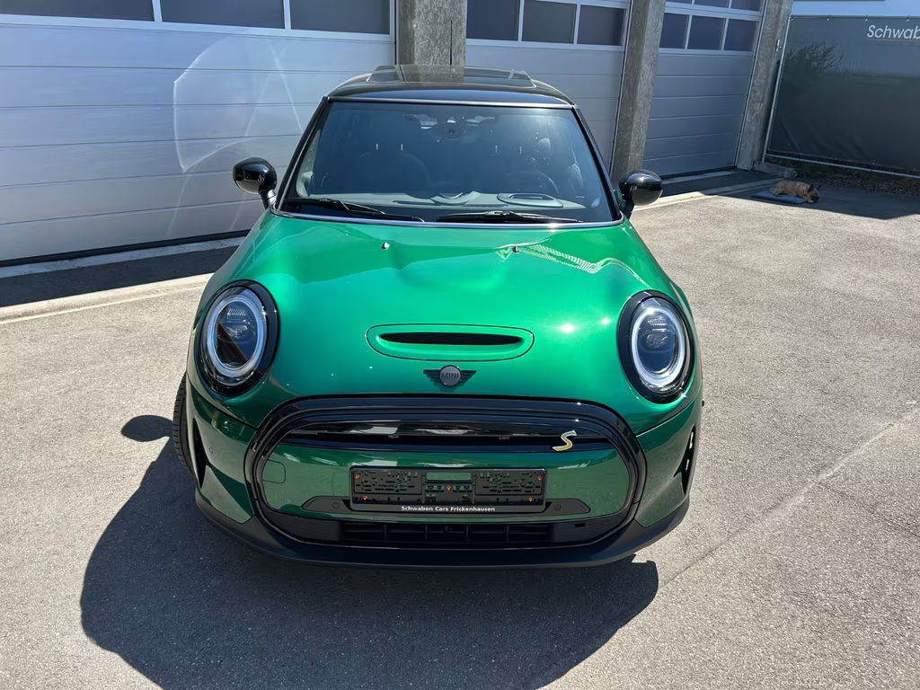 Mini Mini Electric