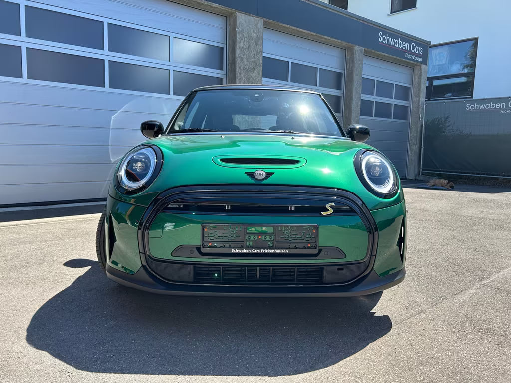 Mini Mini Electric