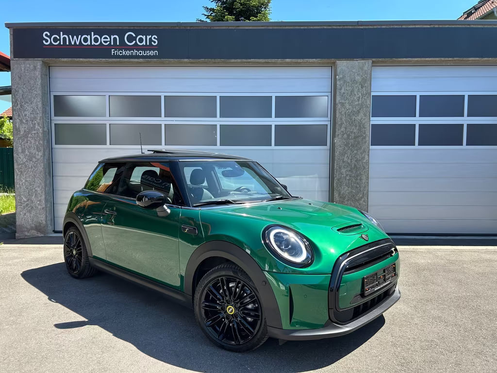 Mini Mini Electric