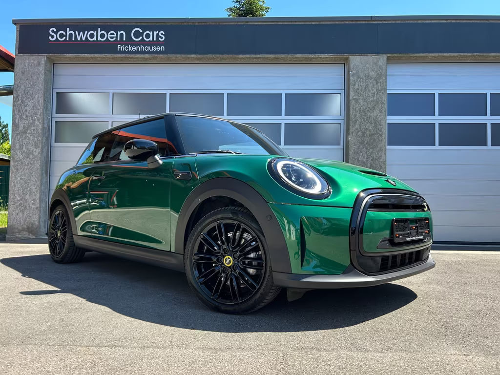 Mini Mini Electric