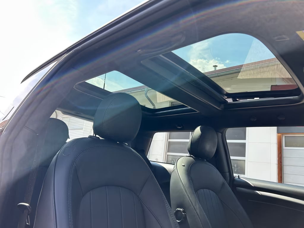 Mini Mini Electric