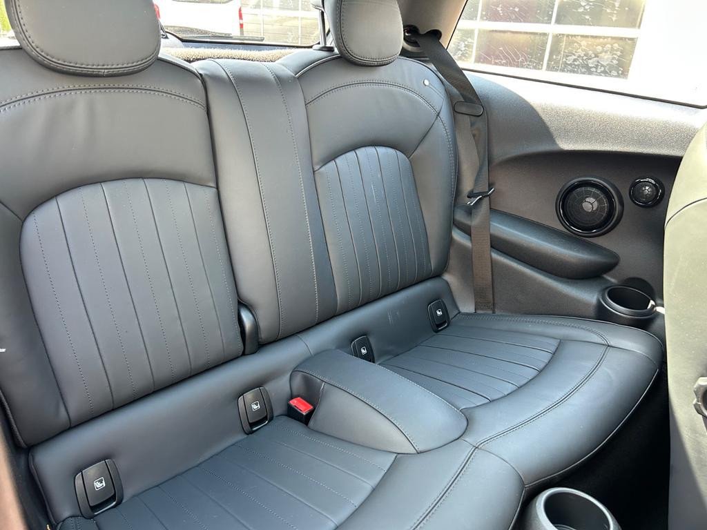 Mini Mini Electric