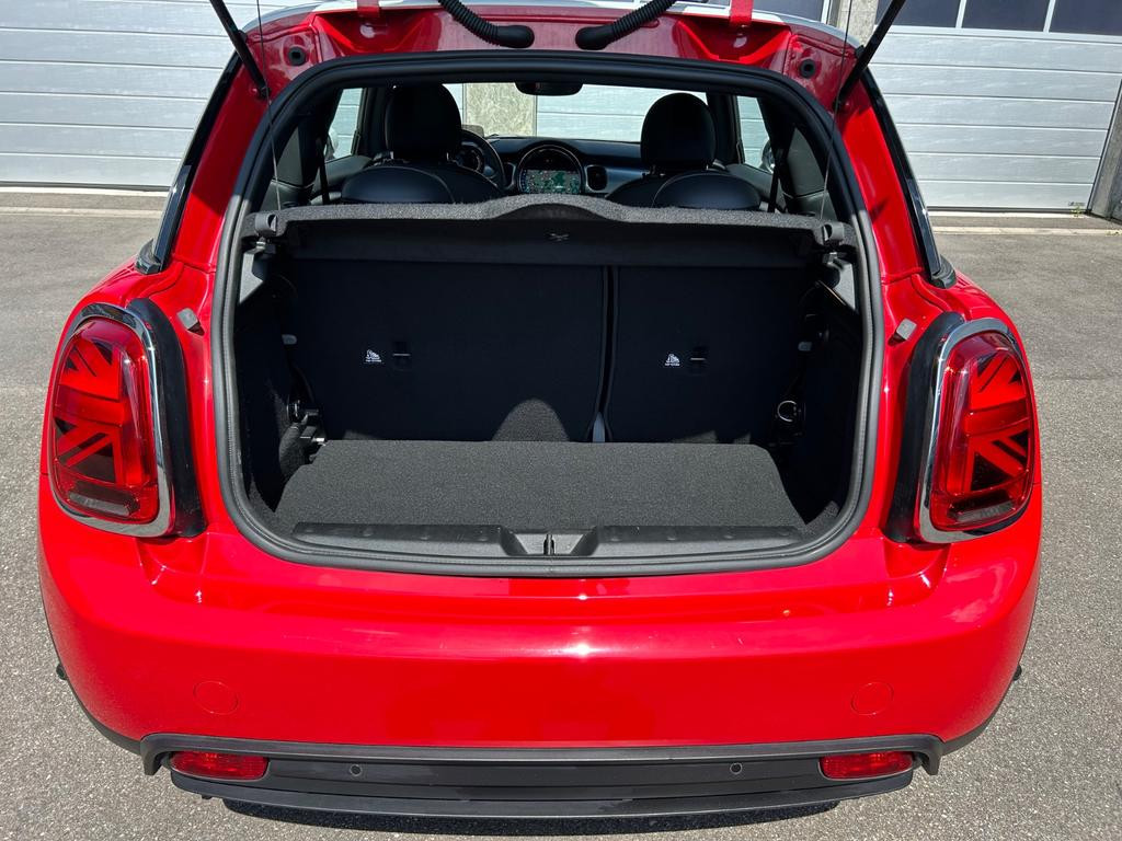 Mini Mini Electric