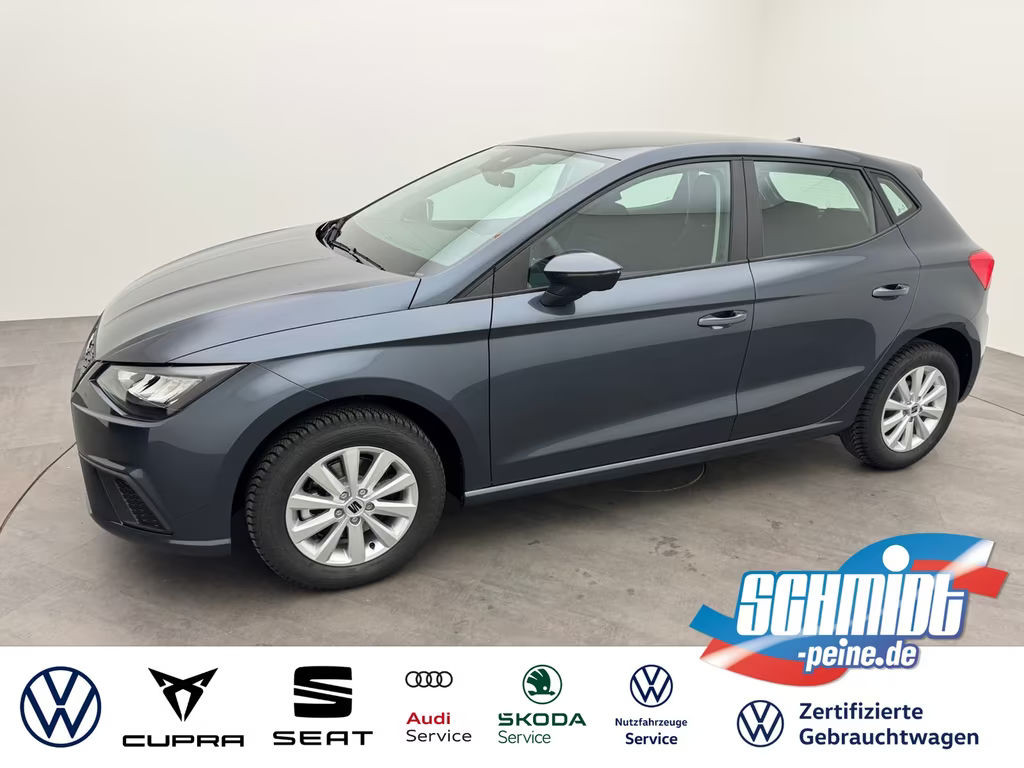 Seat Ibiza Style