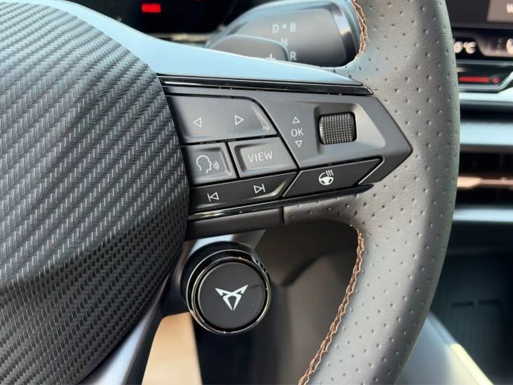 Cupra Raval