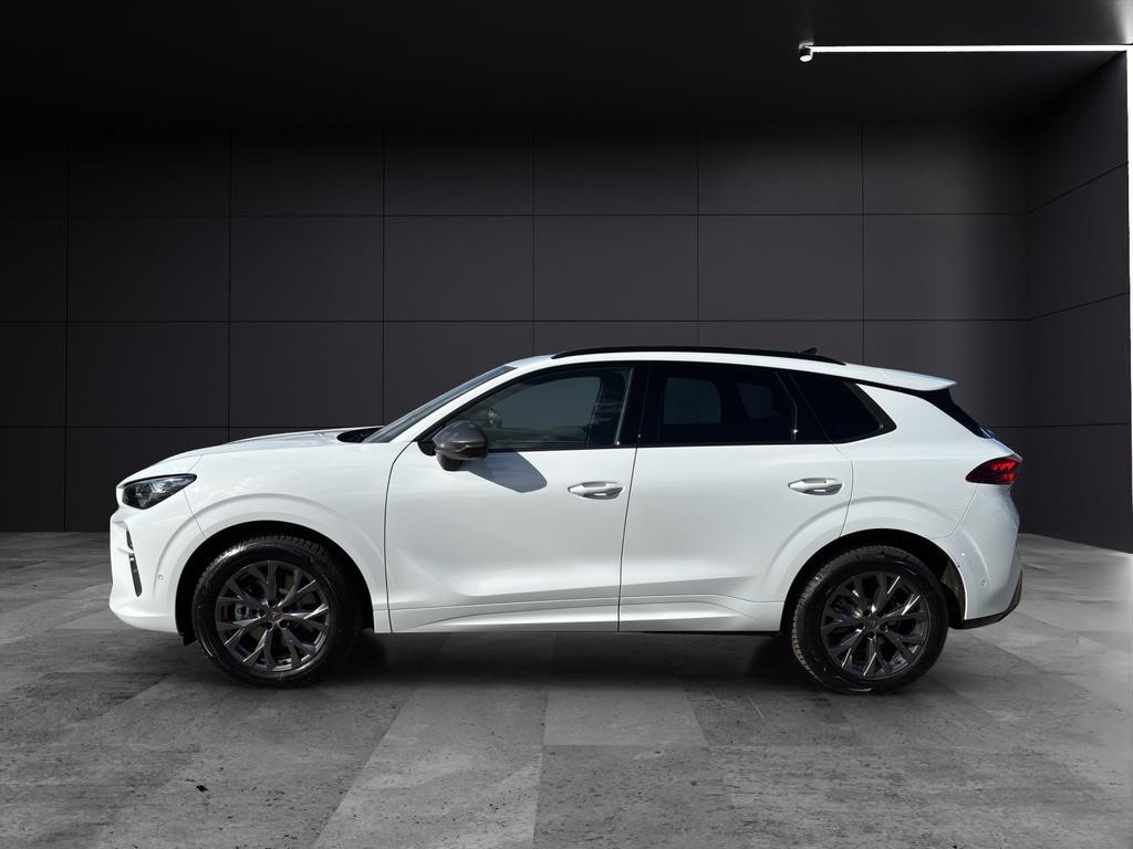 Cupra Terramar 2.0 TSI