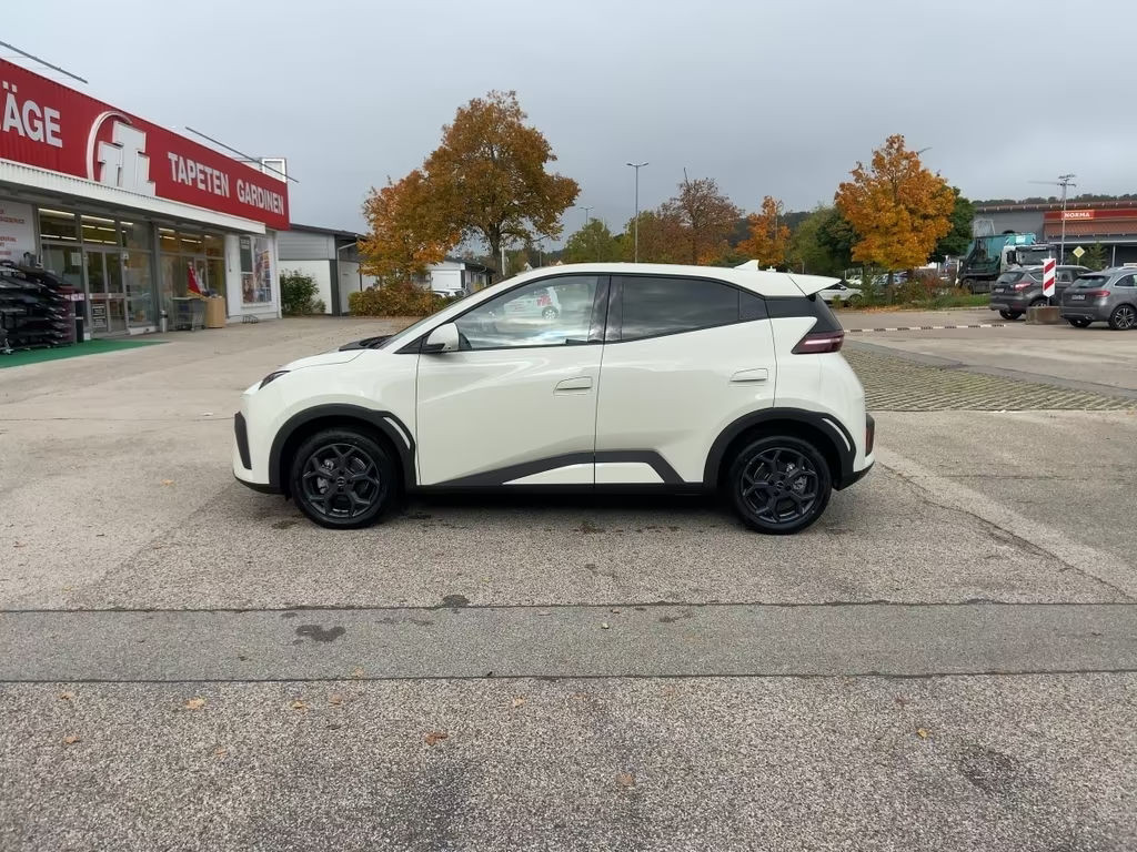 BYD Dolphin