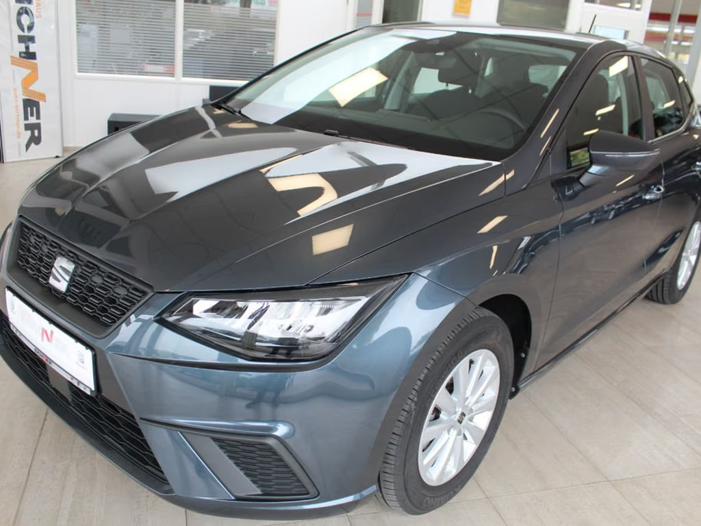 Seat Ibiza Style