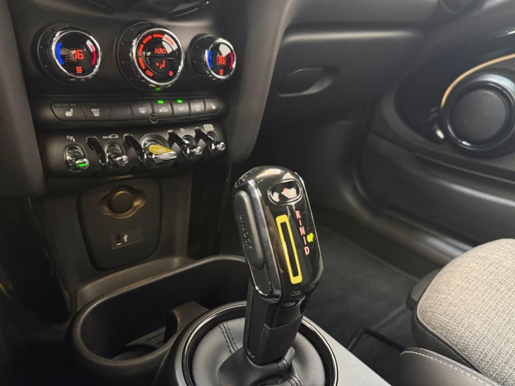 Mini Mini Electric