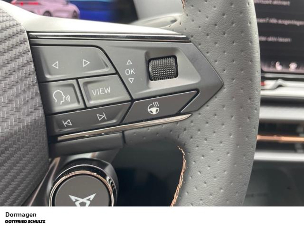 Cupra Raval