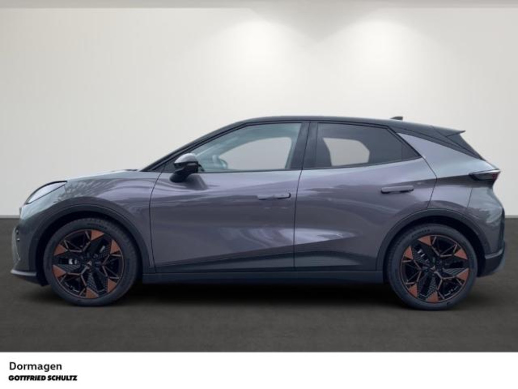 Cupra Raval