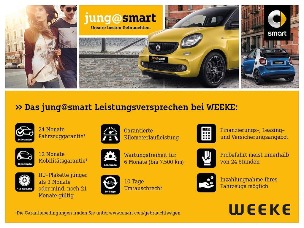 Smart EQ fortwo Passion 22kw onboard charger