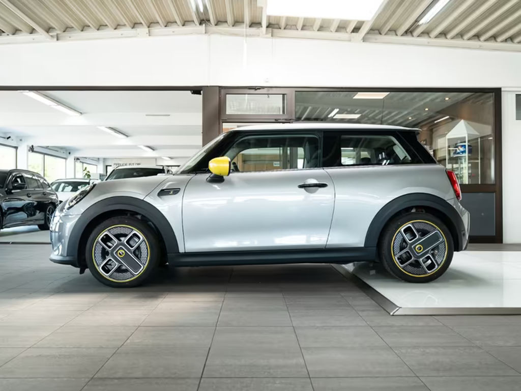 Mini Mini Electric