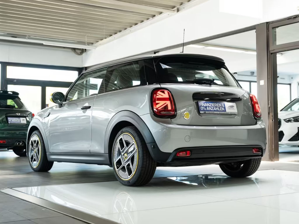 Mini Mini Electric