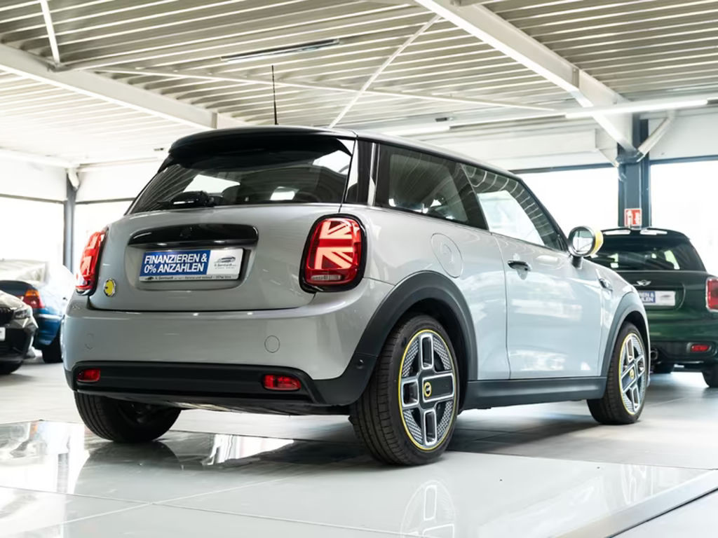 Mini Mini Electric