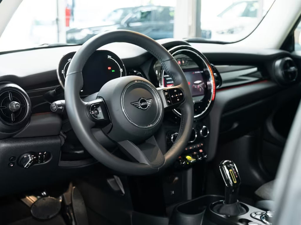 Mini Mini Electric