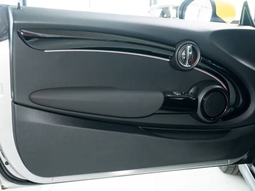 Mini Mini Electric