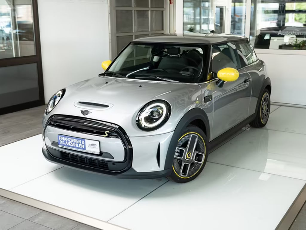 Mini Mini Electric