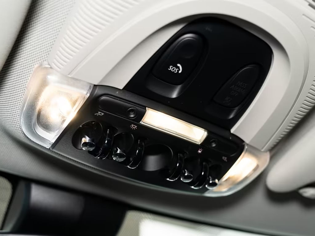 Mini Mini Electric