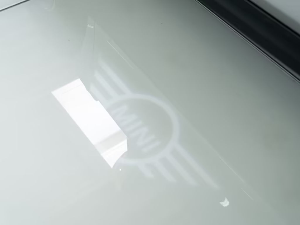 Mini Mini Electric