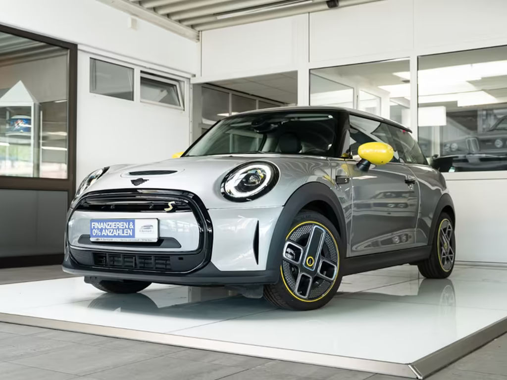Mini Mini Electric