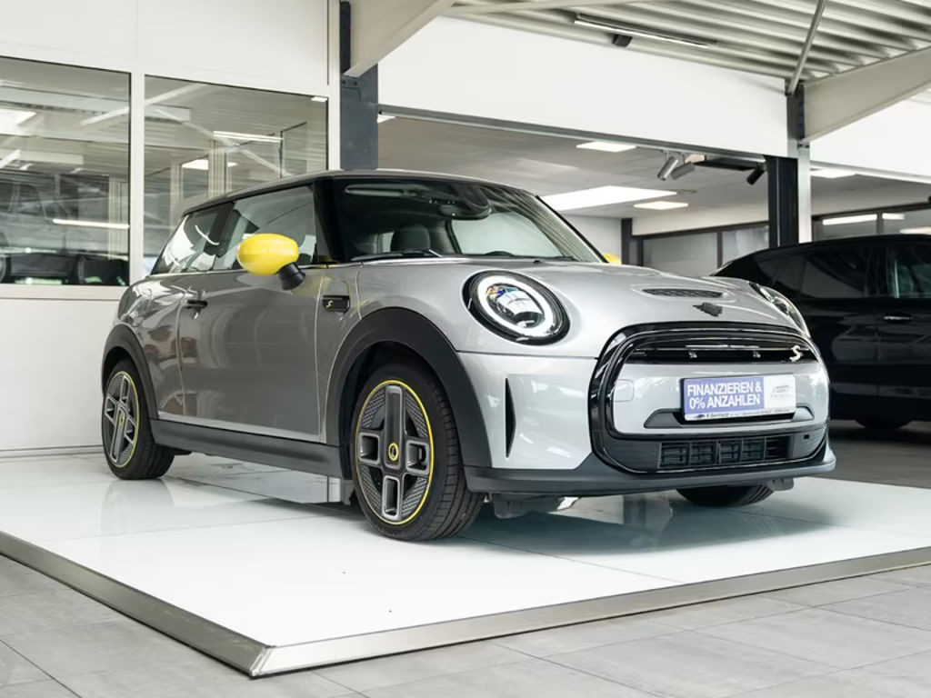 Mini Mini Electric