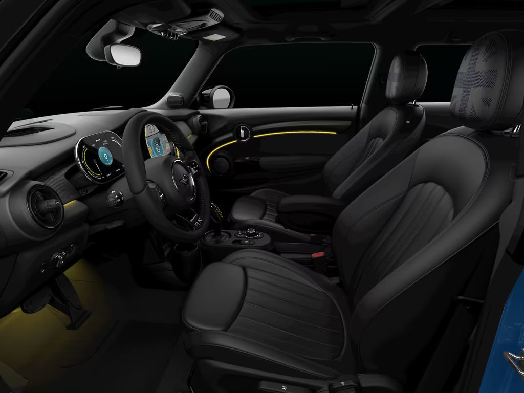 Mini Mini Electric