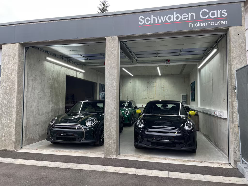 Mini Mini Electric