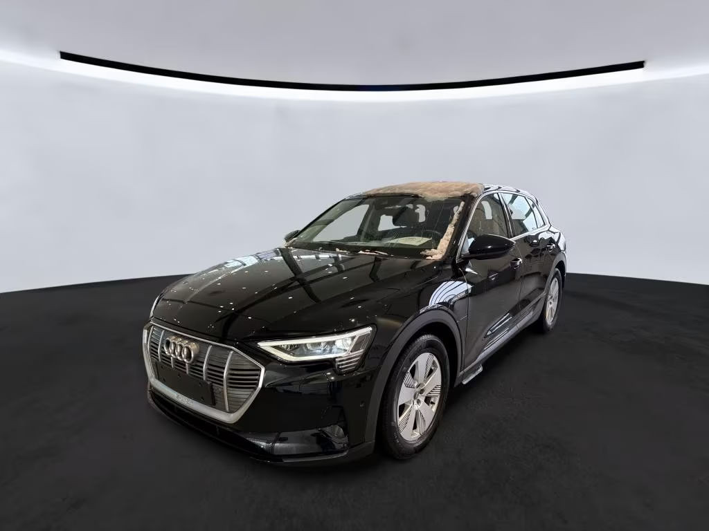 Audi e-tron Quattro 55