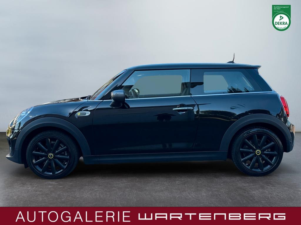 Mini Mini Electric