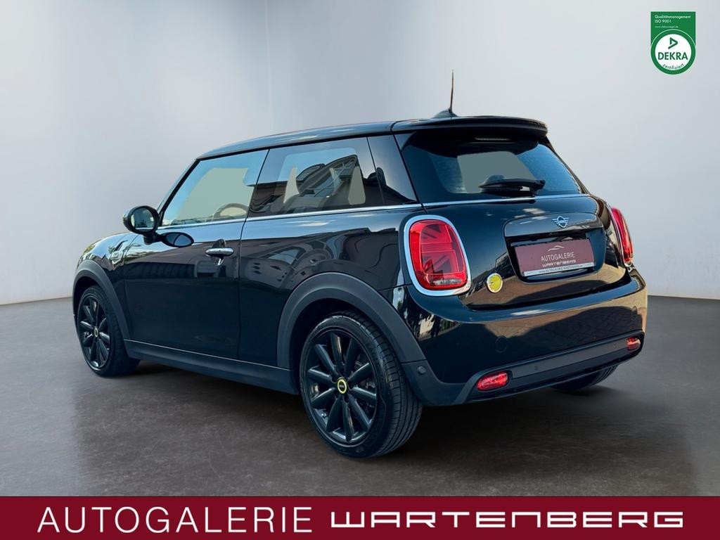 Mini Mini Electric