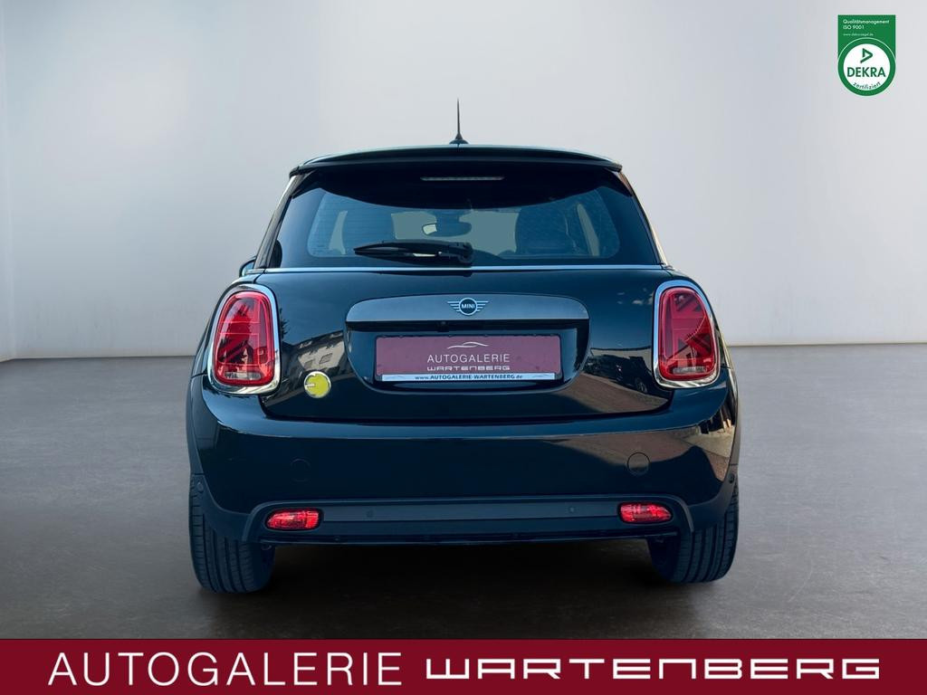 Mini Mini Electric