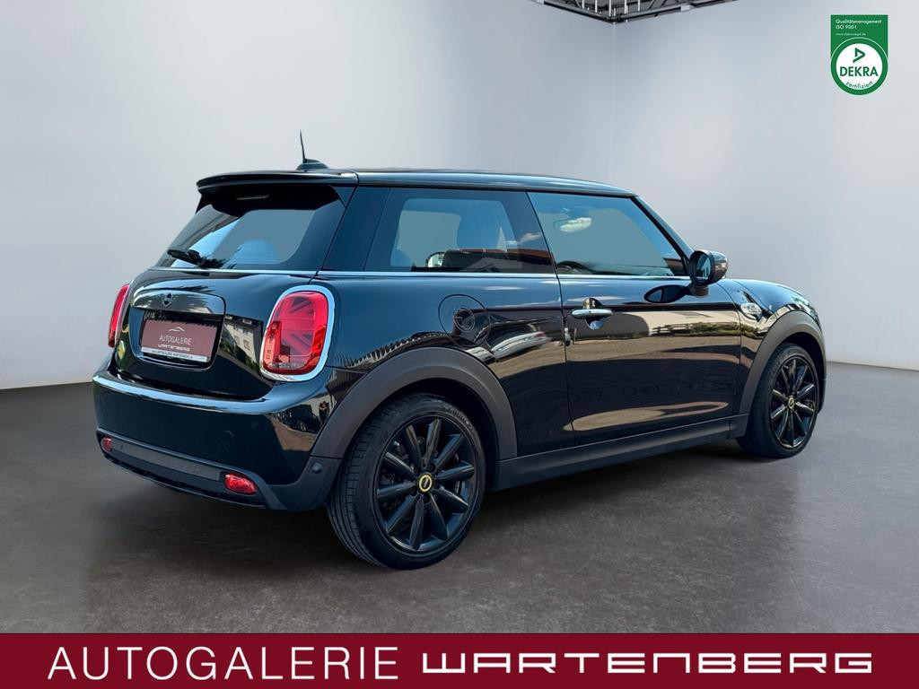 Mini Mini Electric