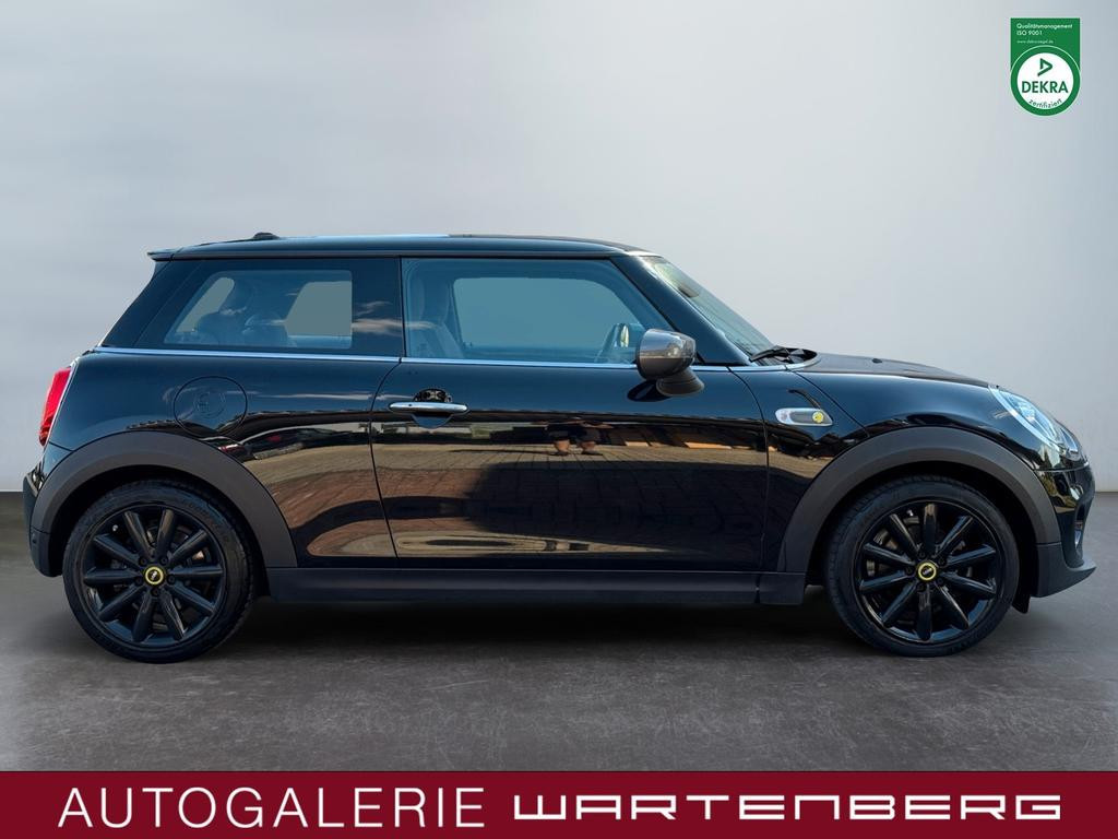 Mini Mini Electric