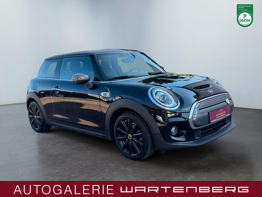 Mini Mini Electric