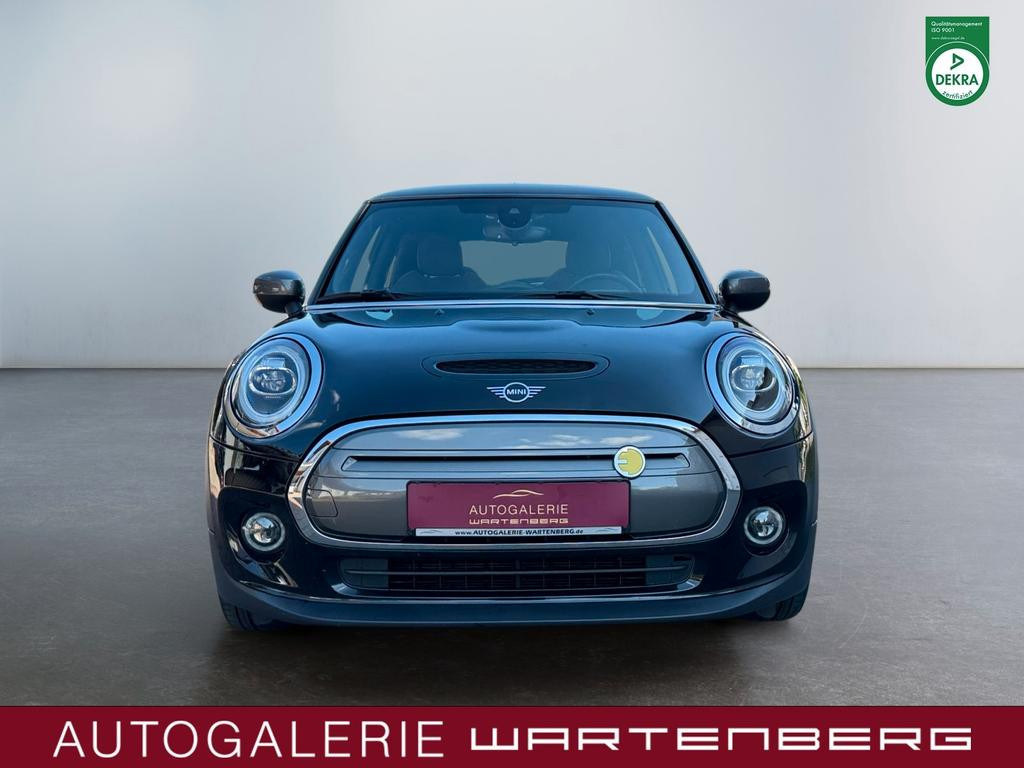 Mini Mini Electric