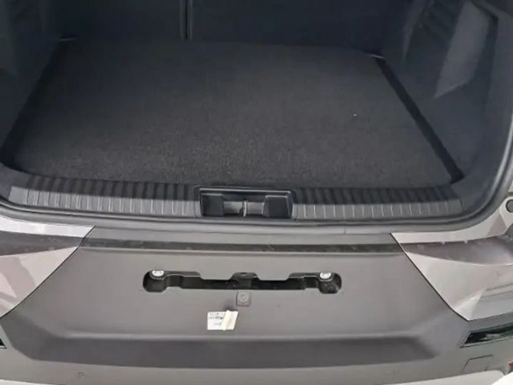 Mitsubishi Grandis