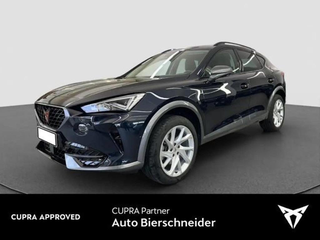 Cupra Formentor 2.0 TSI DSG