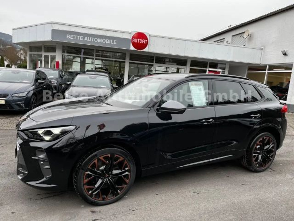 Cupra Terramar 2.0 TSI VZ