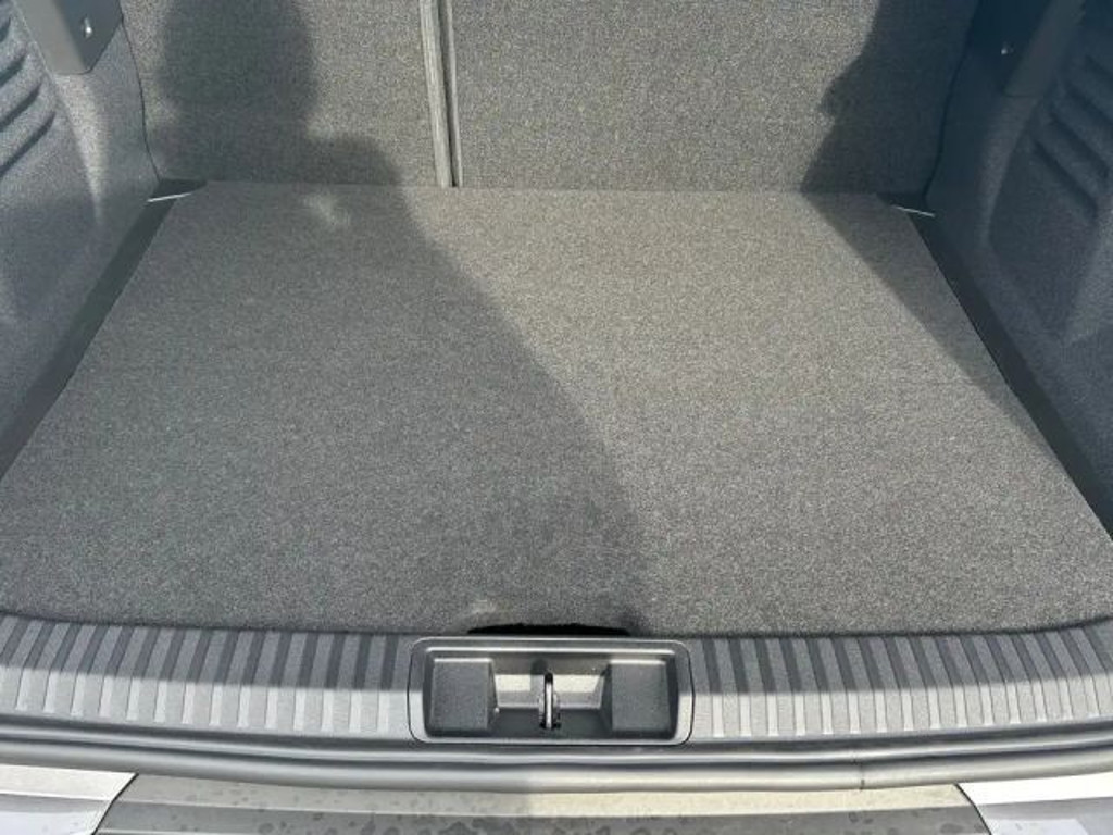 Mitsubishi Grandis