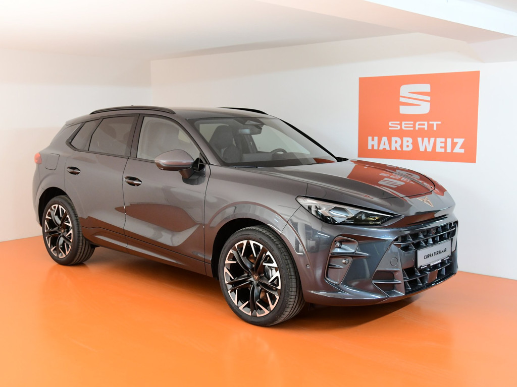 Cupra Terramar 2.0 TSI