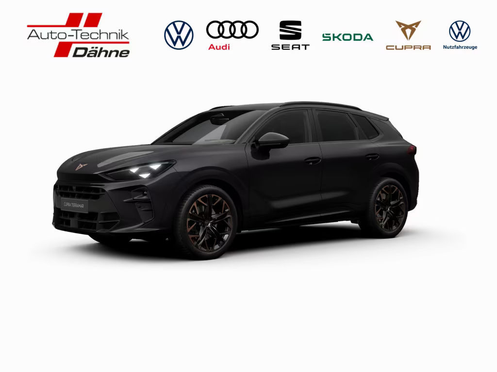 Cupra Terramar 2.0 TSI