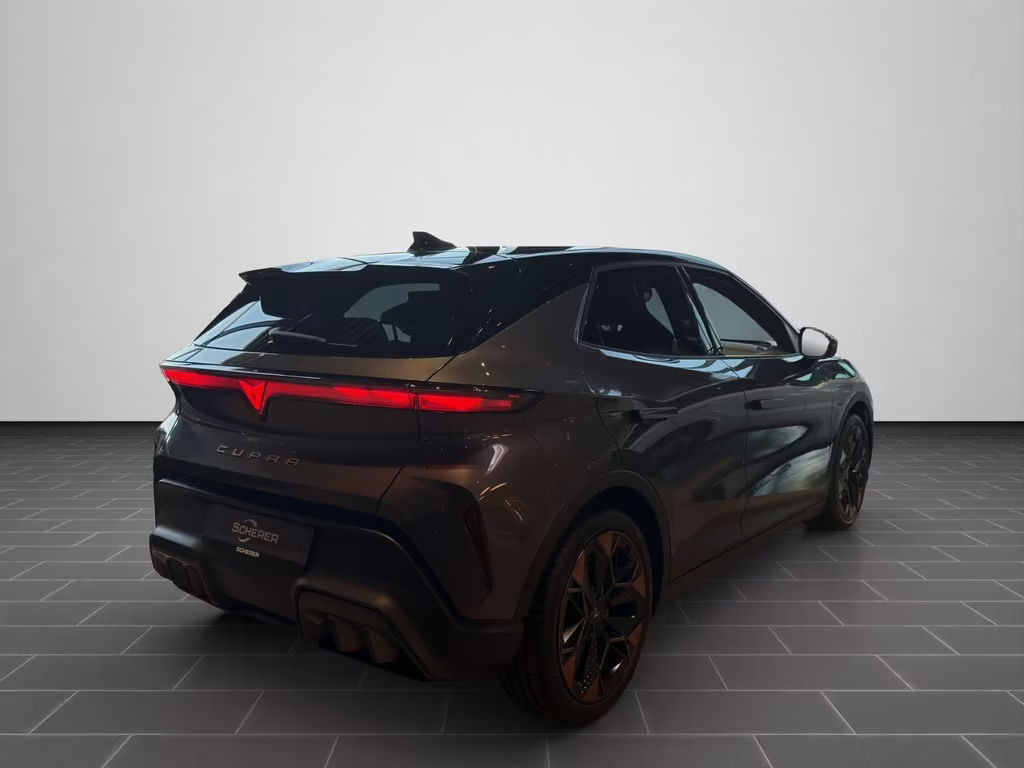 Cupra Raval