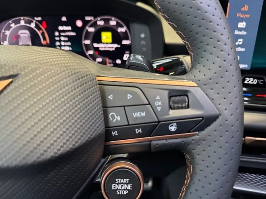 Cupra Terramar