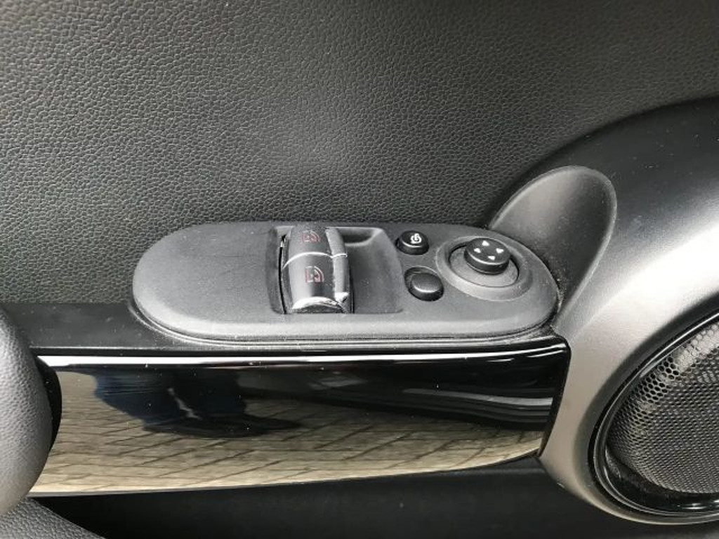 Mini Mini Electric