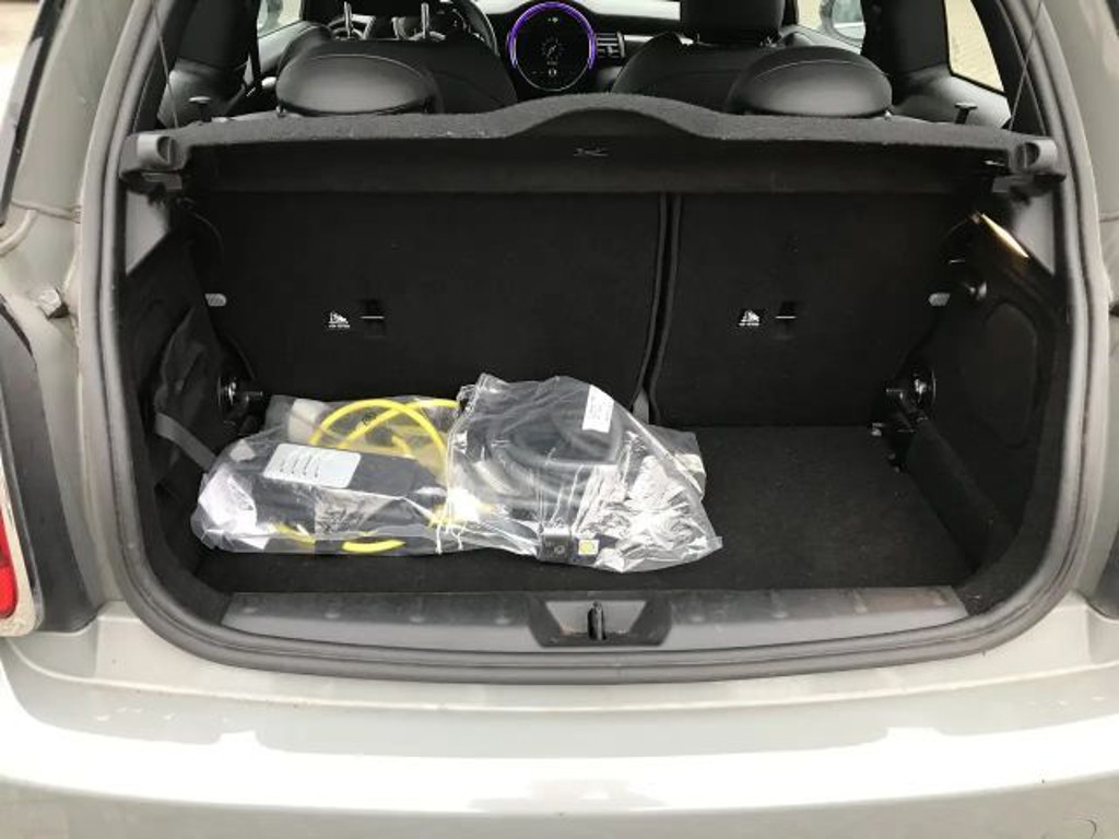 Mini Mini Electric